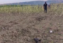 Кукурудзяне поле неподалік села Талмаза в Молдові, де ймовірно впала ракета-дрон