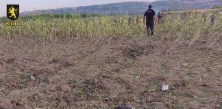 Російськаракета «Бандероль» впала в Молдові біля Талмази Кукурудзяне поле неподалік села Талмаза в Молдові, де ймовірно впала ракета-дрон