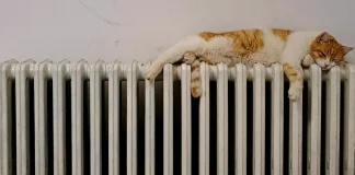 Kyiv is being prepared for a winter without heating: who will be rehoused? A block of flats in Kyiv is without heating