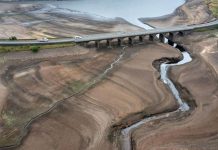 Посуха в ЄС змушує фермерів витрачати зимові запаси кормів Обміліла річка в Європі через посуху