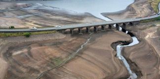 The drought in the EU is forcing farmers to use up their winter feed stocks A river in Europe has run dry due to the drought