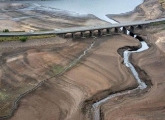 Посуха в ЄС змушує фермерів витрачати зимові запаси кормів Обміліла річка в Європі через посуху