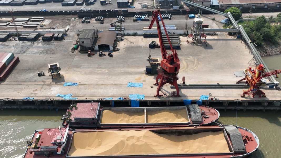 Cargo cranes at a seaport Cargo cranes at a seaport in Ukraine