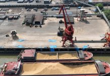Блокада портів може коштувати Україні понад 10% ВВП Вантажні крани в морському порту України