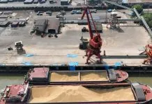 Блокада портів може коштувати Україні понад 10% ВВП Вантажні крани в морському порту України