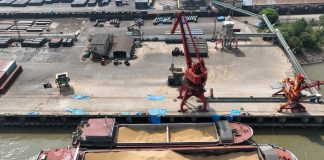 Блокада портів може коштувати Україні понад 10% ВВП Вантажні крани в морському порту України