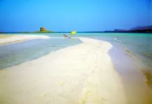 Світові моря пережили найспекотніший липень за всю історію спостережень Морське узбережжя під час спеки