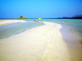 Світові моря пережили найспекотніший липень за всю історію спостережень Морське узбережжя під час спеки