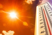 Спекотна погода у Києві та області на початку серпня