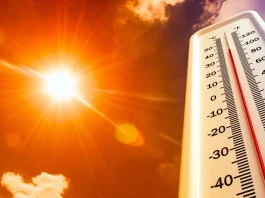 Київ накриє спека до +35°: коли очікувати похолодання Спекотна погода у Києві та області на початку серпня