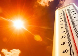 Київ накриє спека до +35°: коли очікувати похолодання Спекотна погода у Києві та області на початку серпня
