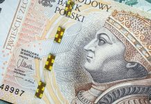 A comparison of the minimum wage in Poland and Ukraine