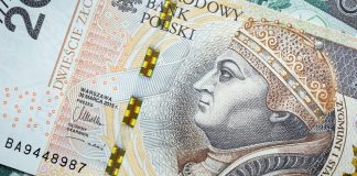 A comparison of the minimum wage in Poland and Ukraine