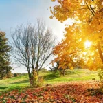 Indian summer is returning to Ukraine: temperatures are set to rise to +22° this weekend