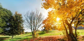Sunny autumn weather during Indian summer in Ukraine