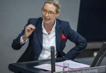 Аліса Вайдель закликала припинити допомогу Україні та вимагати повернення коштів