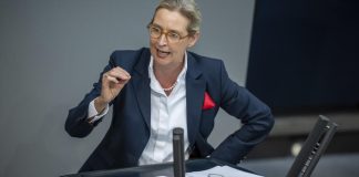 Аліса Вайдель закликала припинити допомогу Україні та вимагати повернення коштів