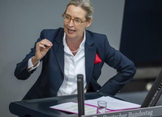 Аліса Вайдель закликала припинити допомогу Україні та вимагати повернення коштів