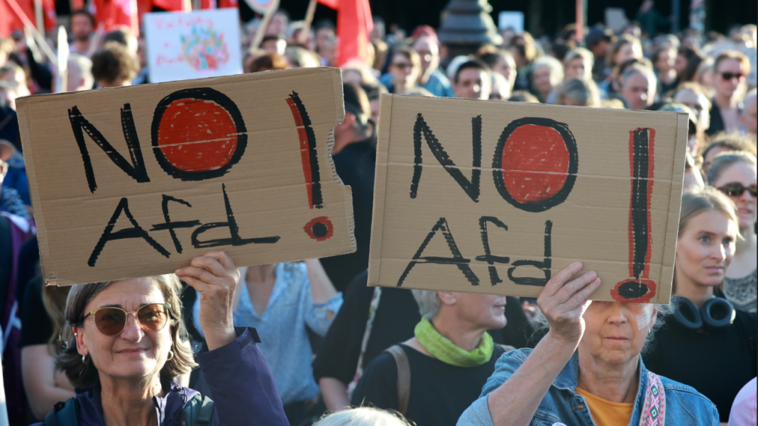 Participants in the rally against the AfD Protesters at a rally against the AfD near the Brandenburg Gate in Berlin