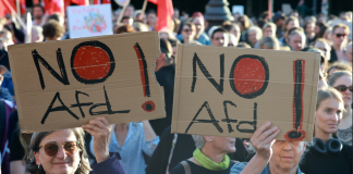 Protesters at a rally against the AfD near the Brandenburg Gate in Berlin