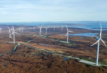 Clean electricity could trigger a cascade of changes for the environment — report Wind turbines against the sky