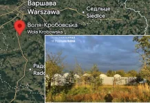 У Польщі горіла станція Starlink: влада допускає диверсію Ілюстративне зображення супутникового зв’язку Starlink