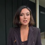 Мендель не пустили до Європарламенту перед виступом на заході AfD