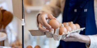 The price of «Yasensvit» S1 eggs has risen by 30.6% over the past three weeks Egg prices