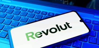 Hackers have published Revolut customer data and are demanding a ransom The Revolut hack and the customer data breach