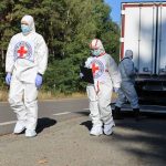 The bodies of 252 victims have been returned to Ukraine: they are to be identified