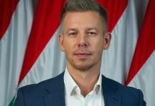 Петер Мадяр заявив про відмову Угорщини від участі у Карпатській вісімці