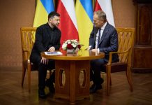 Володимир Зеленський і Дональд Туск під час зустрічі на саміті Carpathian 8