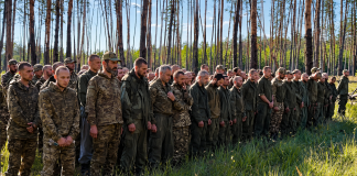 Понад 250 росіян у полоні: ЗСУ звільнили Нове, Рідкодуб і Катеринівку Російські військовополонені під час операції «Вівальді»