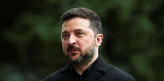 Президент України Володимир Зеленський у чорному пальті на тлі зелені