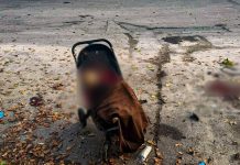 Удар РФ по парку на Харківщині: загинули троє людей