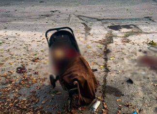 РФ вдарила по парку на Харківщині: загинуло немовля у візочку Удар РФ по парку на Харківщині: загинули троє людей