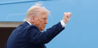 Donald Trump, wearing a dark suit, raises a clenched fist against the backdrop of a blue aeroplane