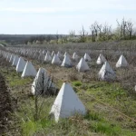 Міста України готуватимуть до кругової оборони
