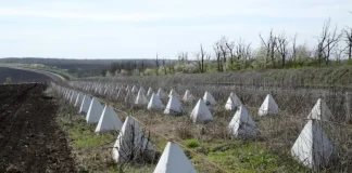 Ряди бетонних протитанкових загороджень типу «зуби дракона» та дротяні перешкоди вздовж дороги