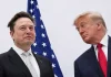 Трамп зателефонував Маску через Starlink в Україні: що відомо Трамп попросив Маска зняти обмеження Starlink — WSJ