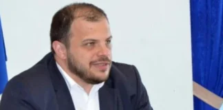Shmushkovich and undeclared assets: what the media have uncovered
