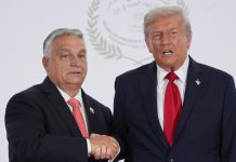 Трамп просуває Орбана в ООН: вирішальне слово за Лондоном і Парижем Дональд Трамп і колишній прем'єр-міністр Угорщини Віктор Орбан потискають руки під час спільного заходу.