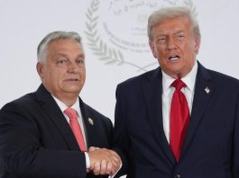 Трамп просуває Орбана в ООН: вирішальне слово за Лондоном і Парижем Дональд Трамп і колишній прем'єр-міністр Угорщини Віктор Орбан потискають руки під час спільного заходу.