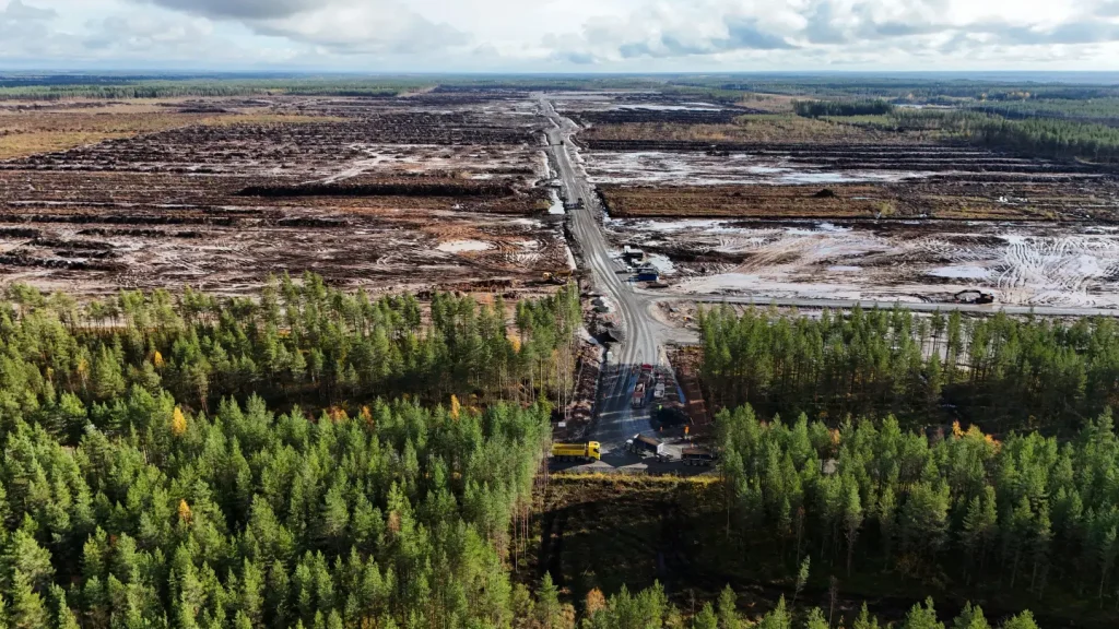 Google Tuike Finland вирубка лісу