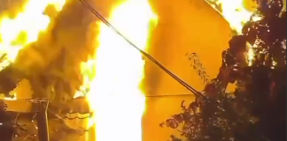 In the Kyiv region, the «Sadiba Nyushanik» bird rehabilitation centre was burnt down following an attack by the Russian Federation» Fire at the «Sadiba Nyushanik» bird rehabilitation centre in the Kyiv region