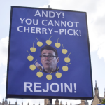 49% of those surveyed supported the UK’s return to the EU