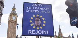49% of those surveyed supported the UK’s return to the EU A poster calling for the UK to rejoin the EU, set against the backdrop of Big Ben in London