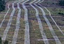 Під Києвом будують нові рубежі оборони на випадок повторного наступу РФ Масштабні дротяні оборонні загородження на півночі України