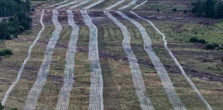 Під Києвом будують нові рубежі оборони на випадок повторного наступу РФ Масштабні дротяні оборонні загородження на півночі України