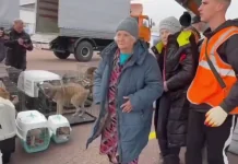Літаки з мешканцями окупованих Олешків прибули до білоруського Гомеля